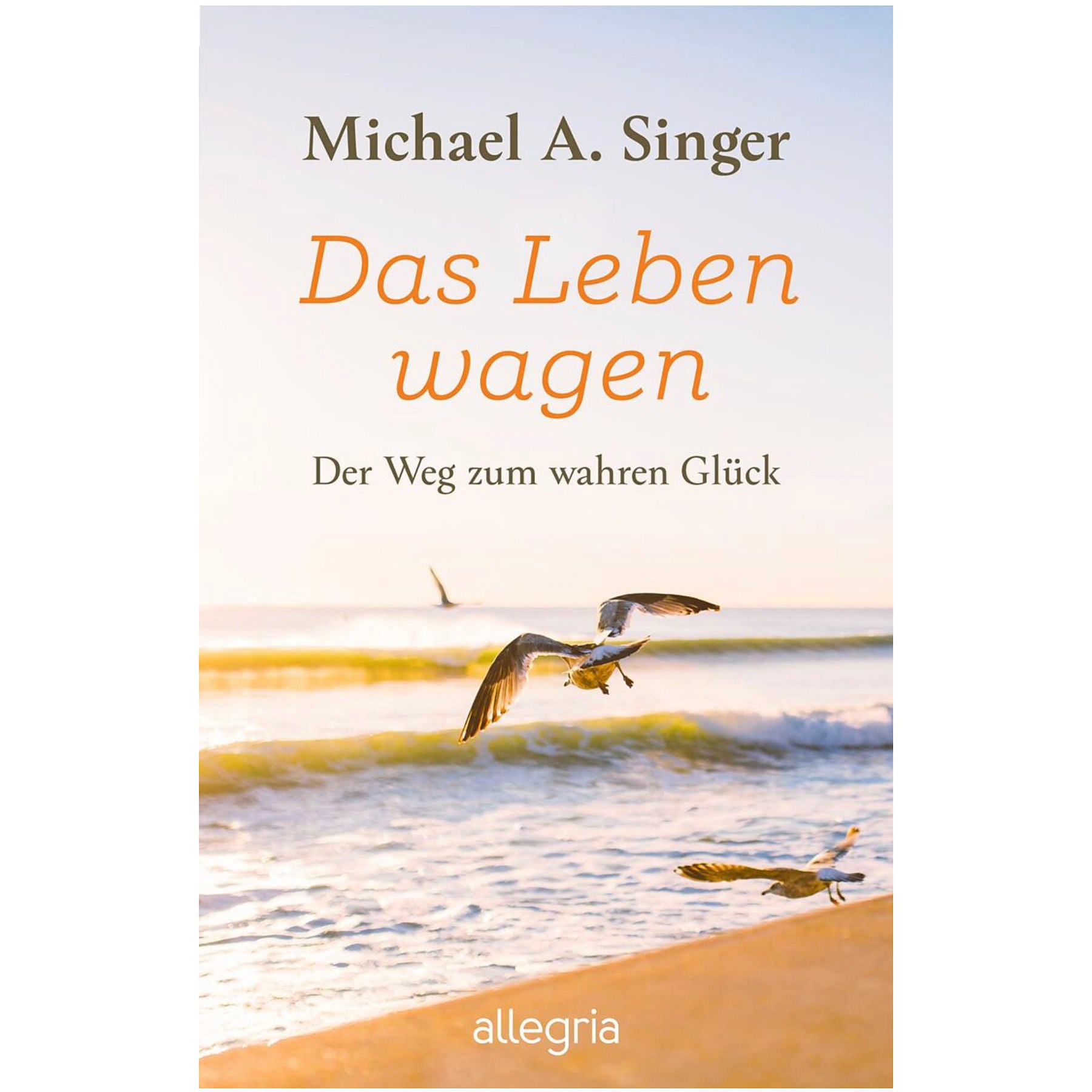 Buch Das Leben wagen von Michael Singer