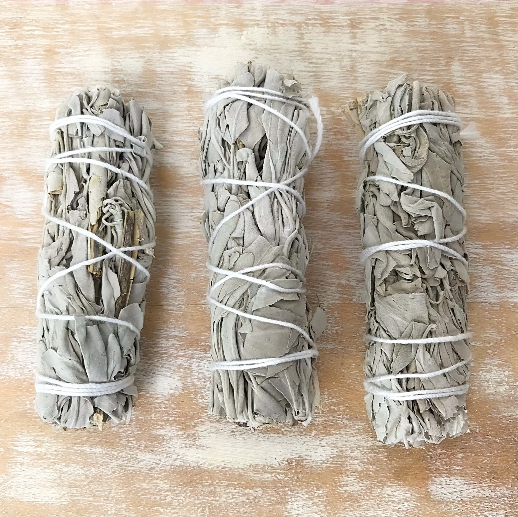 Weisser Salbei – Salvia Apiana