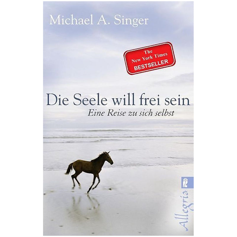 Die Seele will frei sein - Michael Singer
